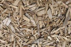 biomass boilers Low Wood